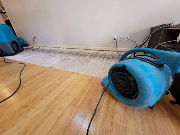 Professional Basement Flood Cleanup technician working in Turtletown, TN
